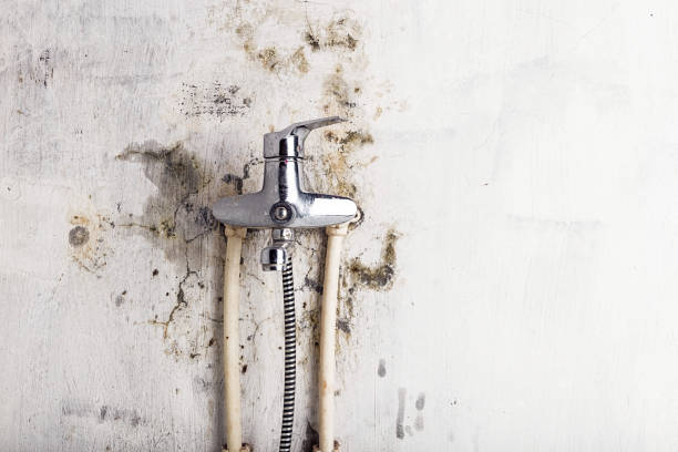 Best Mold Remediation for Specific Building Types in East Bernard, TX