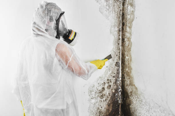 Best Bathroom Mold Remediation in East Bernard, TX