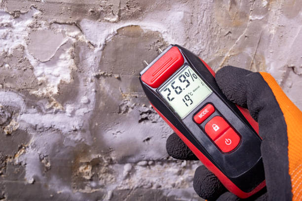 Best Commercial Mold Remediation in East Bernard, TX